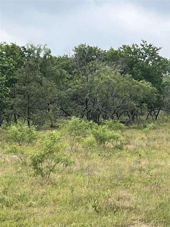 TBD W HWY 84