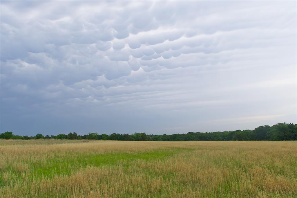 Legacy Estates - Land