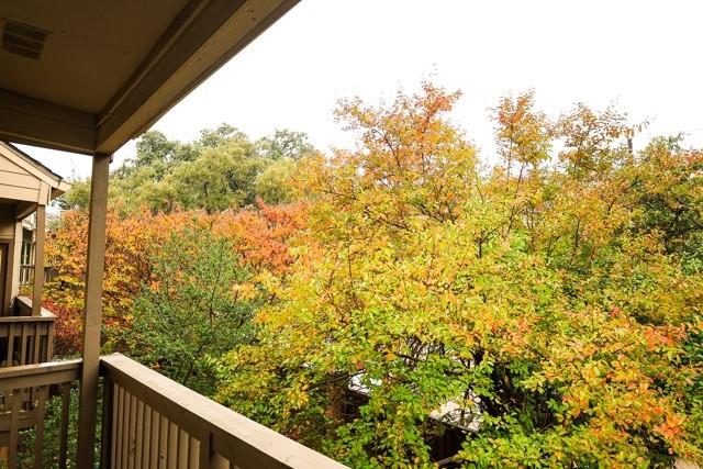 Oaks Montfort Ph 04 - Residential Lease