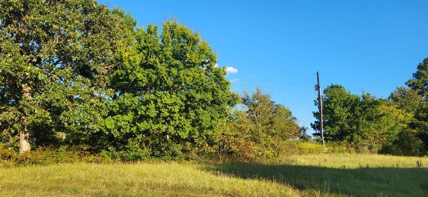 Beautiful tree framed and open land for building on site or site build mfg home.  Open land fenced 3 sides.  2 and one half acres for sale from almost 5 acres per owner.
 The property goes to a natural spring area near back of property per owner and a  pond may be dug.  Open space, plenty of room for a garden, shop
with light visibility from the County Road.  Lovely area to live and nice homes and neighbors at a distance.  County
 roads,  near Canton, Mineola, Tyler areas with   Lindale ISD and Tyler Jr College.  Utilities available.  Aerobic system recommended.