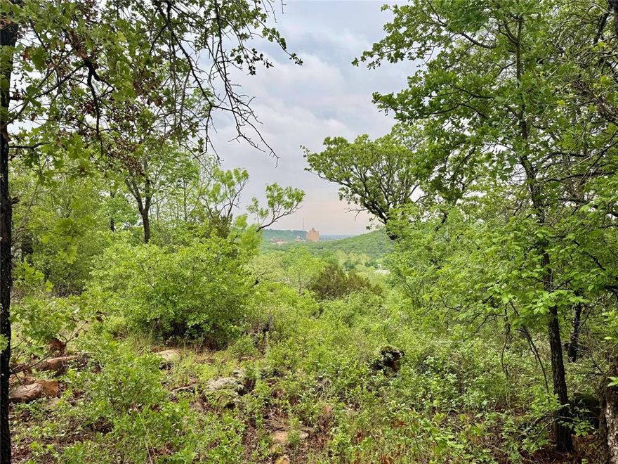 5.035 Acres with Stunning Hilltop Views. Just a mile west of downtown Mineral Wells on Highway 180, this 5.035-acre tract sits high on a hill offering breathtaking views, including a direct line of sight to the iconic Baker Hotel—currently undergoing a major renovation. With its elevated position and proximity to town, this property offers the perfect blend of privacy and convenience. Whether you’re looking to build your dream home or make a smart investment, this unique location gives you a front-row seat to the revitalization of one of Texas’ most historic small towns.