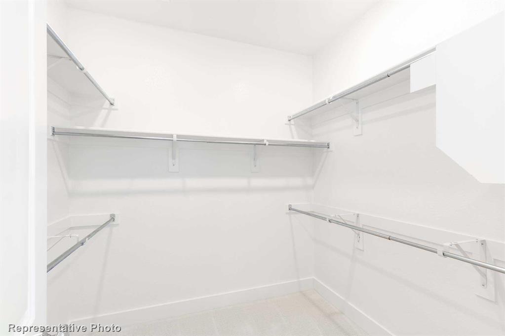 Wellington: 40ft. lots - Residential