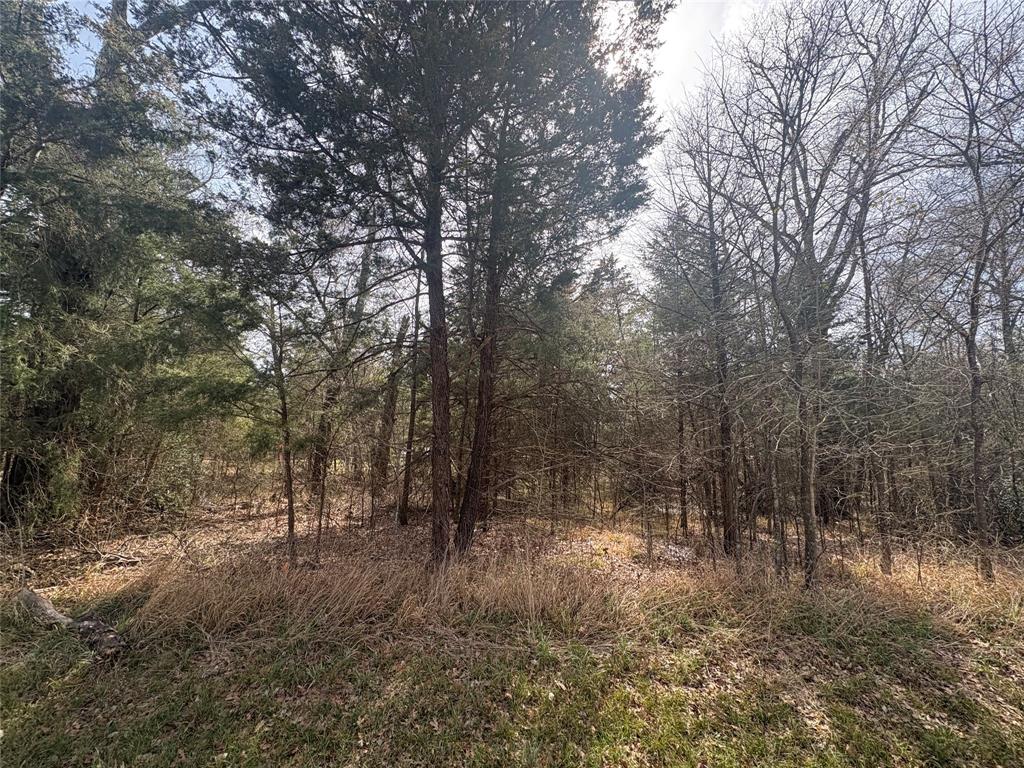 BEACHWOOD ESTS SEC D - Land