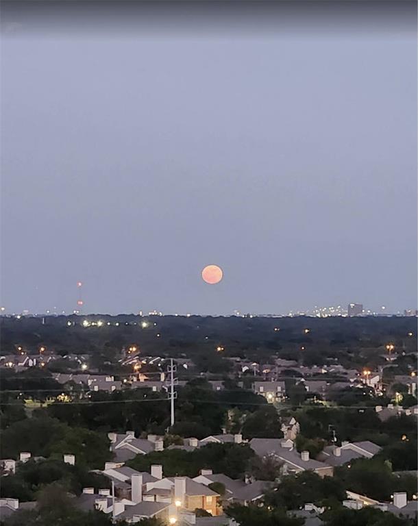Bonaventure Condominiums - Residential