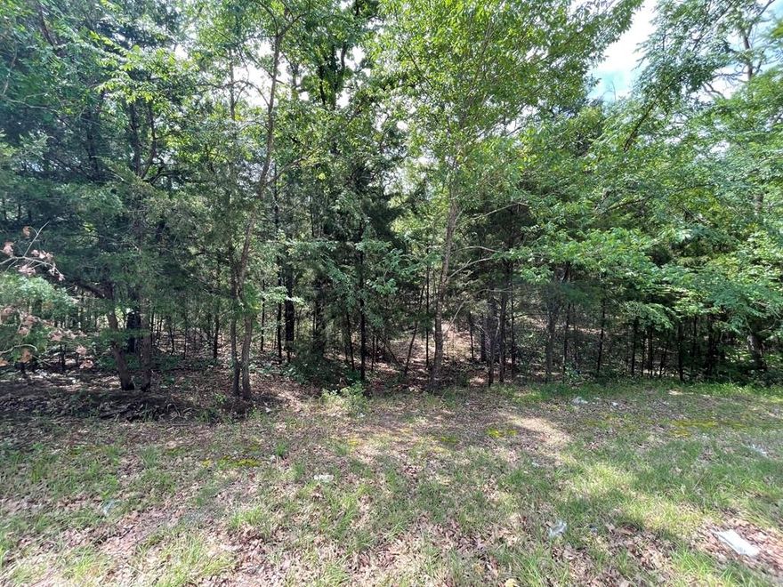 Wooded property located in the established Cherokee Shores subdivision at Cedar Creek Lake. Neighborhood amenities include pool, park and boat ramp. Cedar Creek Lake offers great fishing and recreational options. Conventionally located minutes from dining, shopping and entertainment.