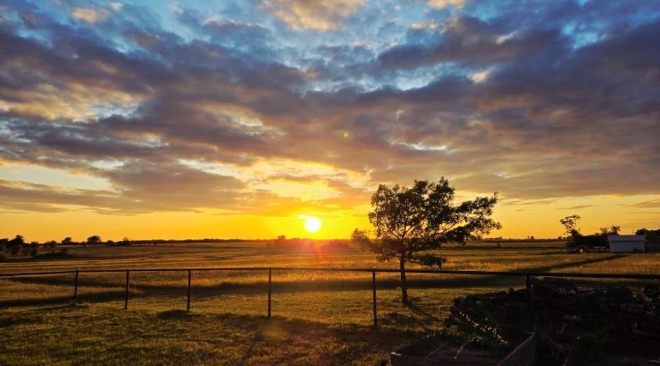 Frazier W W - Residential