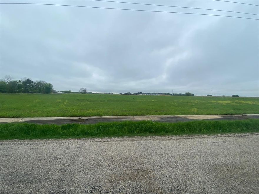 Rare opportunity!! This 4.2 Acre lot at the entrance of a desirable community is ready for your next dream home. The property borders three roads and has a buildable area of 2.8 Acres. There is water service ready for a meter through Rockett SUD along Farrar Road. Electric is provided through Navarro Co-op.
