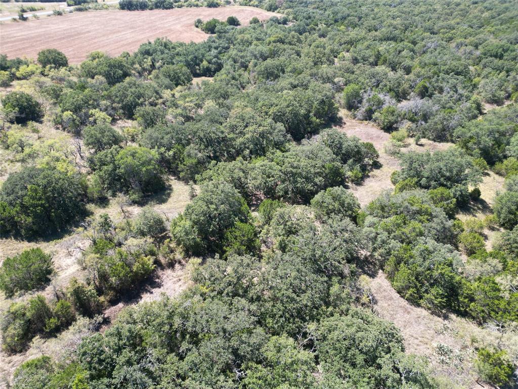 16665 ST Hwy 206