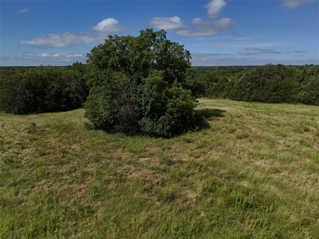 James Jefferies Surf #570 - Land