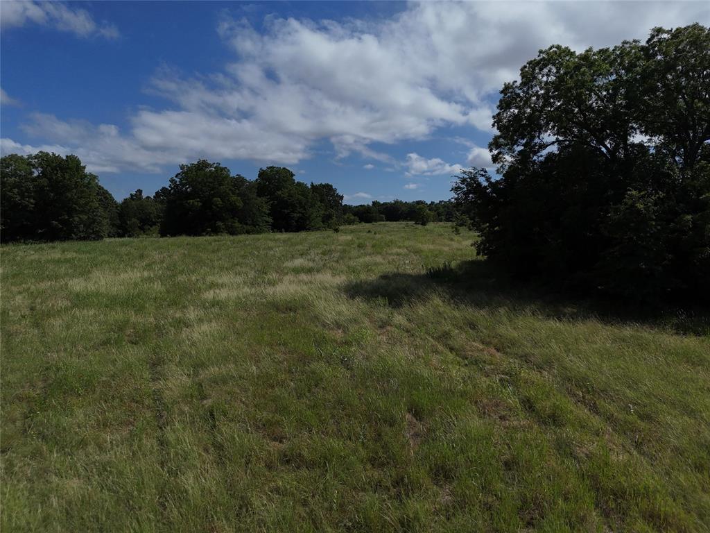 James Jefferies Surf #570 - Land