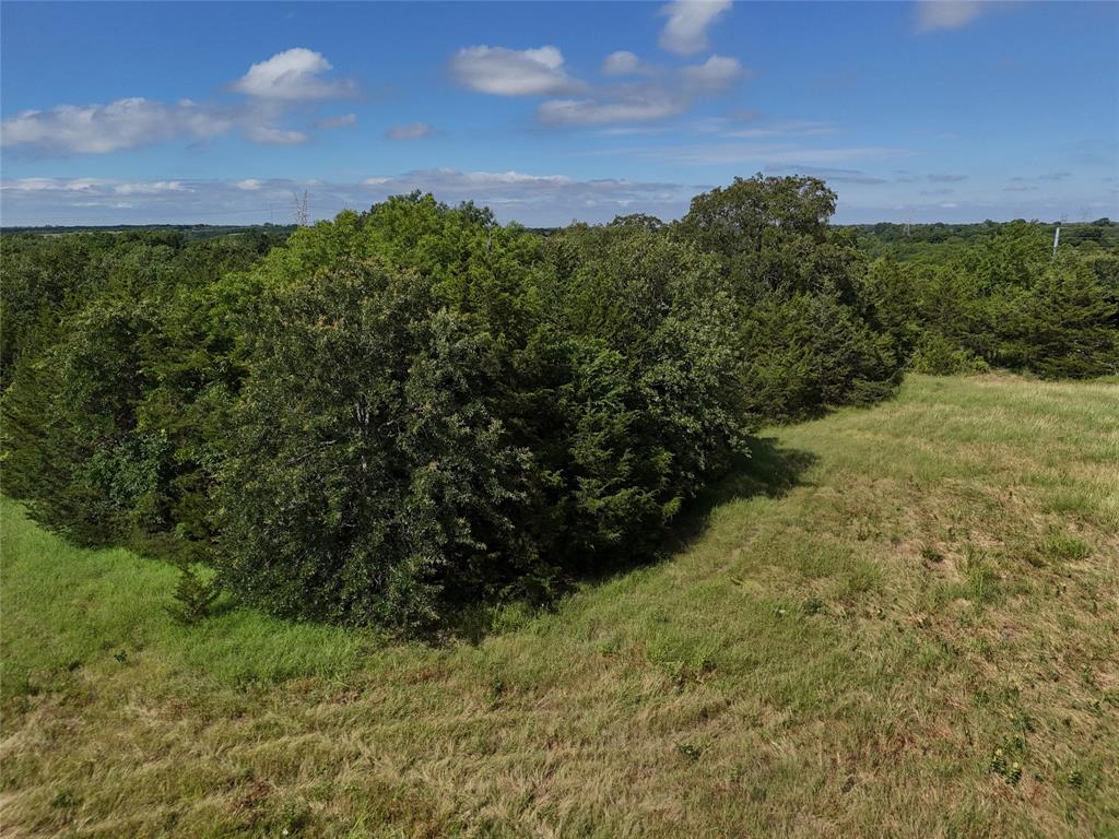 James Jefferies Surf #570 - Land