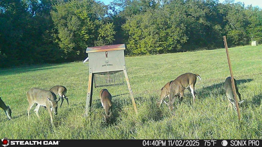 MONTGOMERY ANDREW - Farm