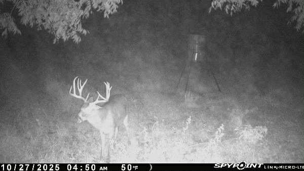 MONTGOMERY ANDREW - Farm