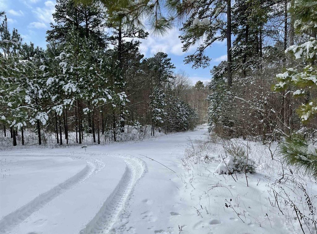 2409 County Road 2303