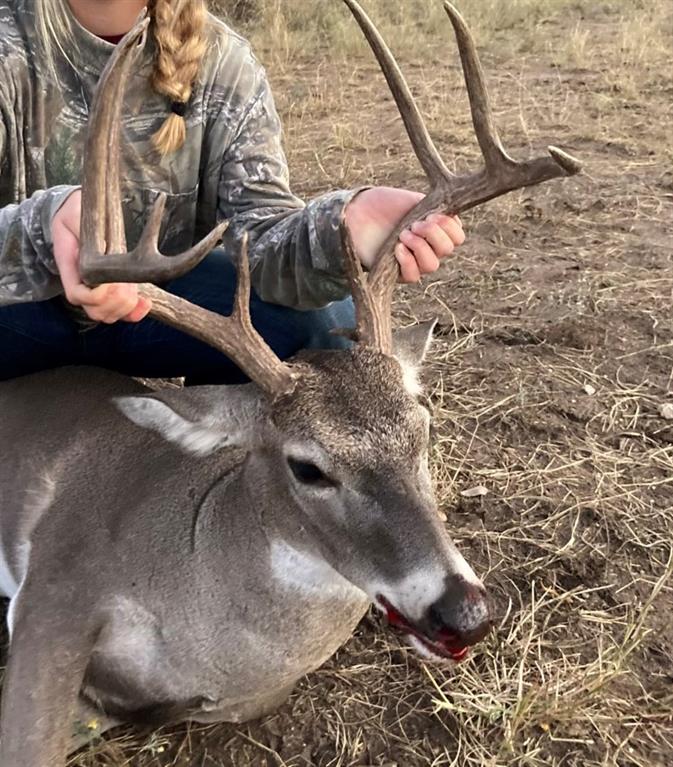 150 State Highway 16