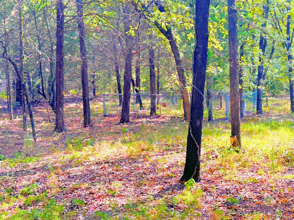 Osburn Pc - Residential Lease