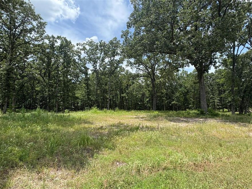 Affordable Lake Fork 1 acre lot in a private gated subdivision. This ready to build lot has several beautiful Oak trees that would be great to surround that new built home! Heavenly Acres provides nice concrete streets, Lake Fork access with a private boat ramp and fishing pier for the community.  Yantis, Tx. is conveniently located between Emory, Winnsboro and Sulphur Springs providing some of the best fishing and living in all of East Texas. Get your lot now to build that home for everyday living, weekend getaway or buy now and build later.