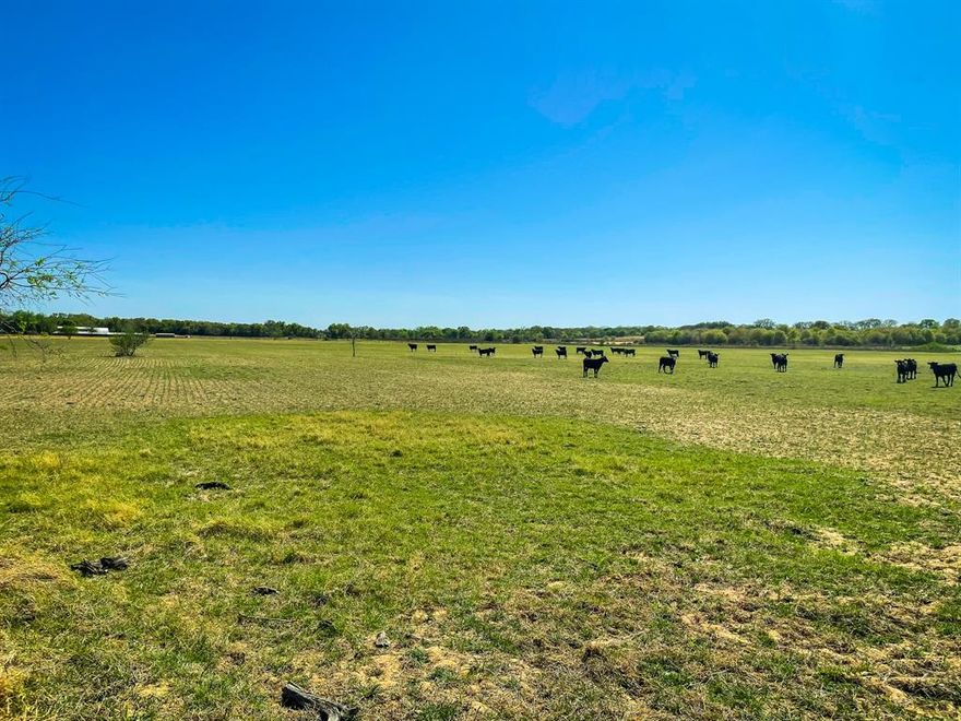 Beautiful 40-acre property located between Rising Star & Cross Plains that would be a great spot for a homesite or crop land. This property has good outer perimeter fencing, has electricity available onsite, and has a water coop line at the NE corner of the property. 

This property is located approximately 10 miles NE of Cross Plains & 18 miles SW of Cisco at the SW corner of CR 240 and CR 254.
Prior appointment scheduling is required.  

Disclaimer: Owner makes full disclosure that they share common ownership with a Texas licensed real estate entity.

All the above information was provided by various sources and has not been verified for accuracy.  Any of the above information used or relied upon for decisions should be verified by the buyer.