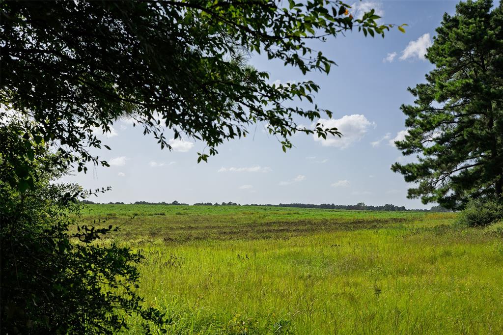 00 County Road 2180