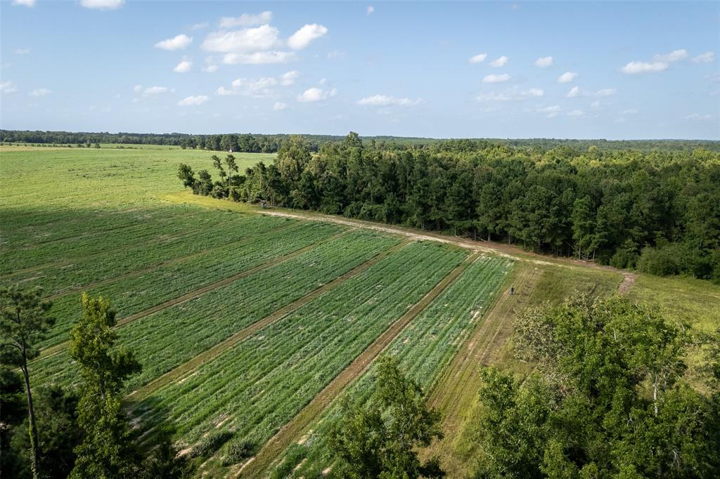 00 County Road 2180
