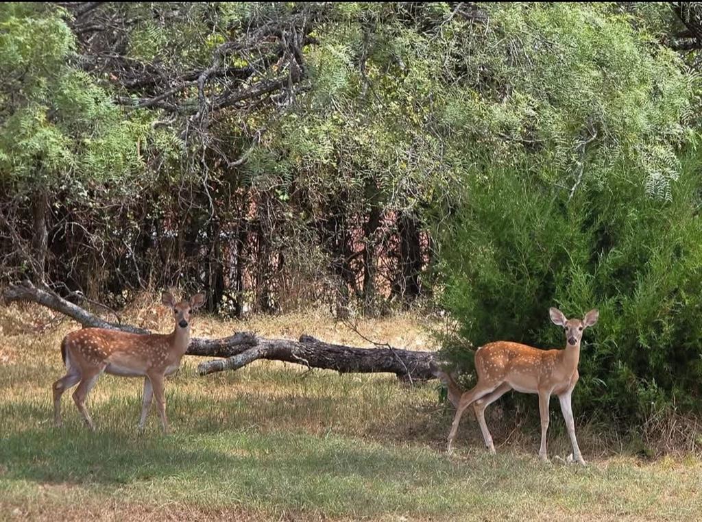 SHORT ROBT T TRL: - Residential