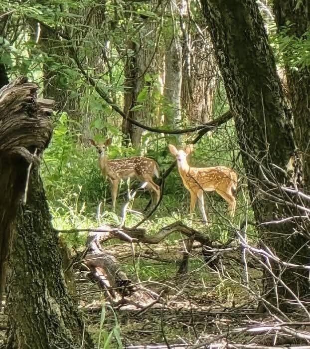 SHORT ROBT T TRL: - Residential