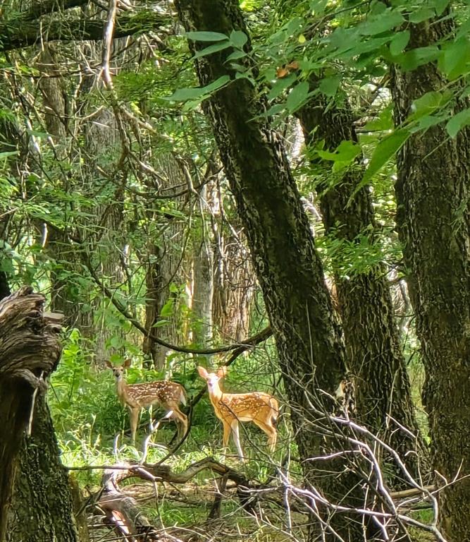 SHORT ROBT T TRL: - Residential