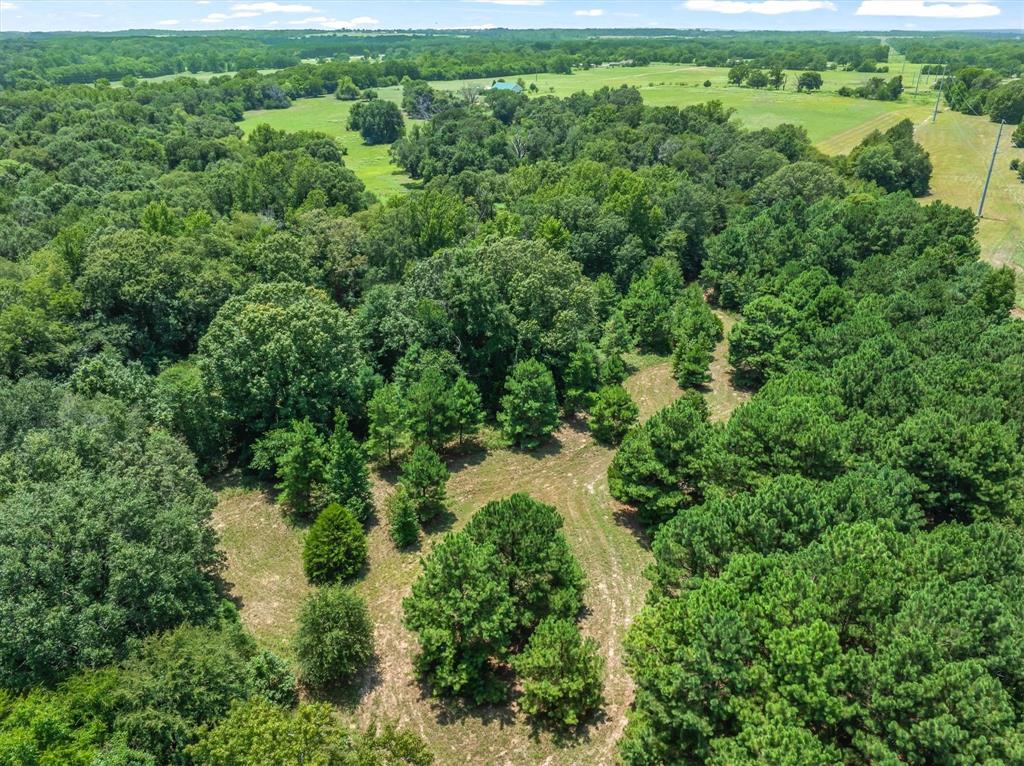 000 County Road 3520
