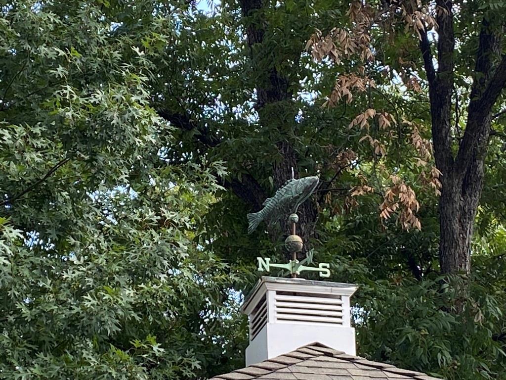 Colony Ridge - Residential