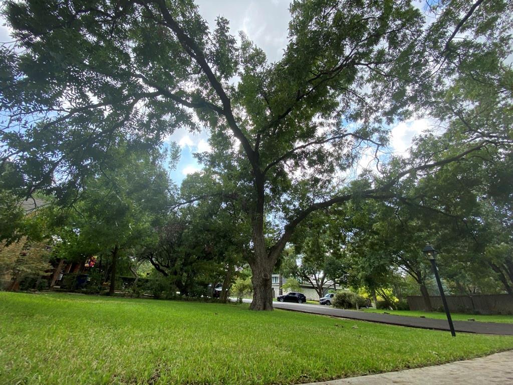 Colony Ridge - Residential