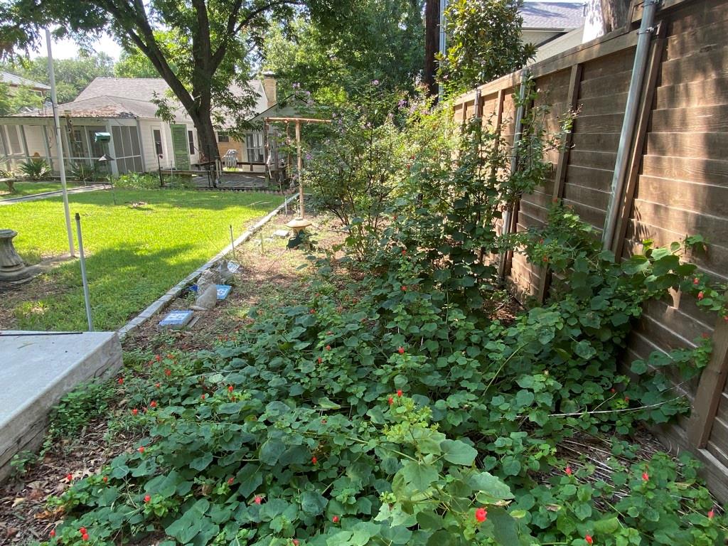 Colony Ridge - Residential