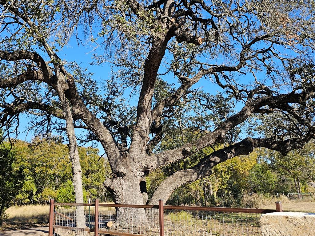 TBD-29.38 Acres Greenbriar Road