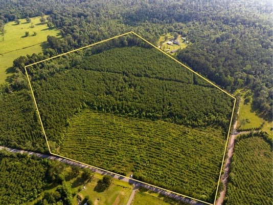 2 ELLIS WEST RD, PITKIN, LA 70656 - Image 51942e846f871b520ccc423be6435e45/3675147054