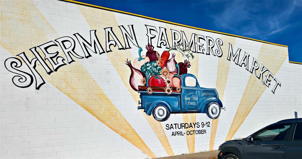 Belmont Add - Residential