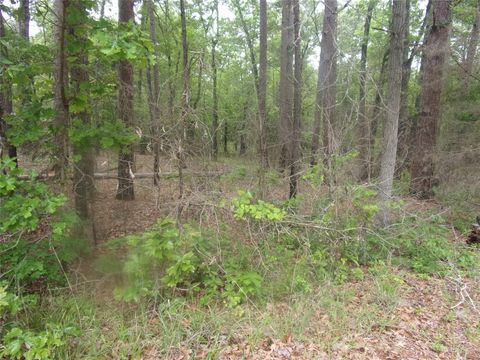 326 Briar Valley Drive Murchison TX 75778