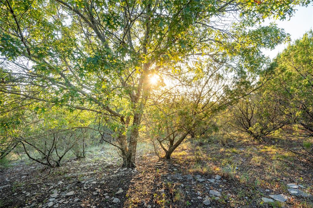 Legends of Buffalo Ridge - Farm