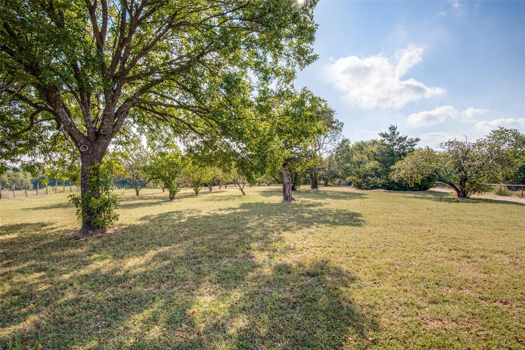 14906 State Highway 78 N
