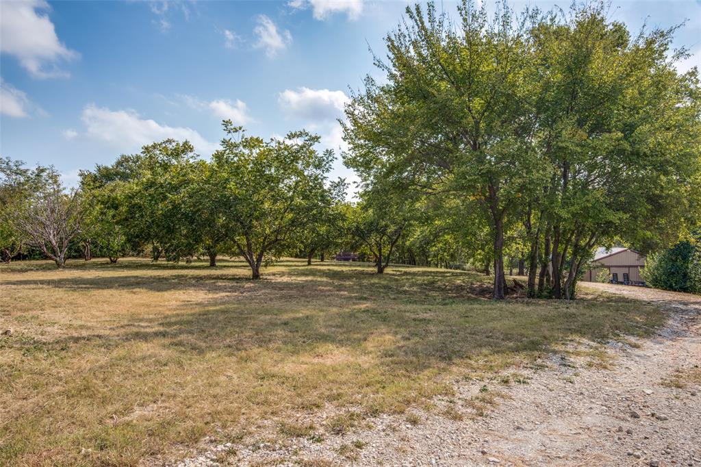 14906 State Highway 78 N