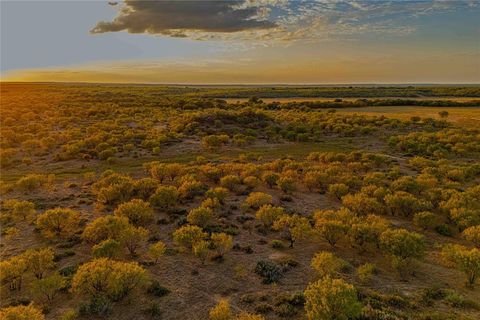 10579 3151 Moran TX 76464