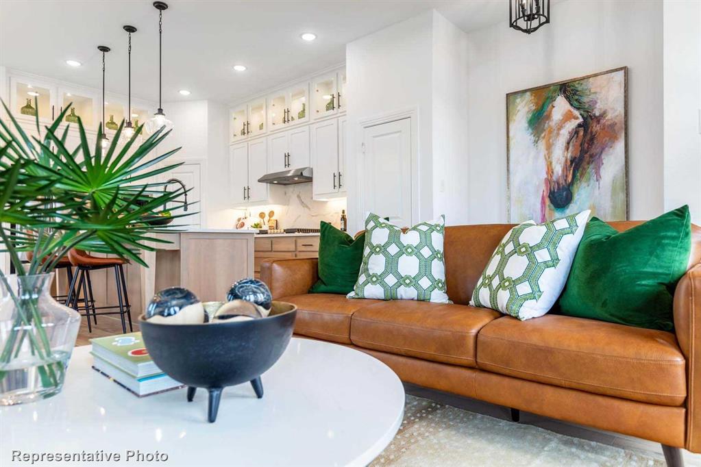 Trinity Falls: Townhomes - 22ft. lots - Residential