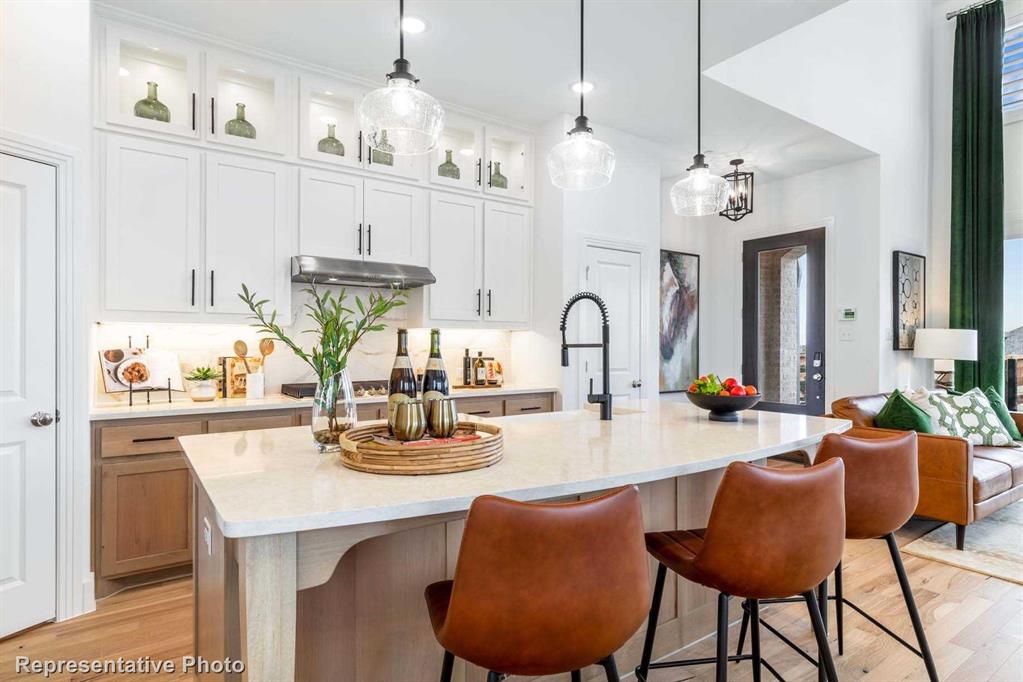 Trinity Falls: Townhomes - 22ft. lots - Residential