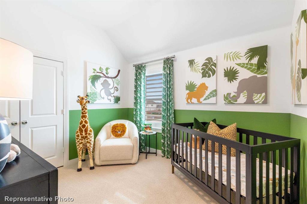 Trinity Falls: Townhomes - 22ft. lots - Residential