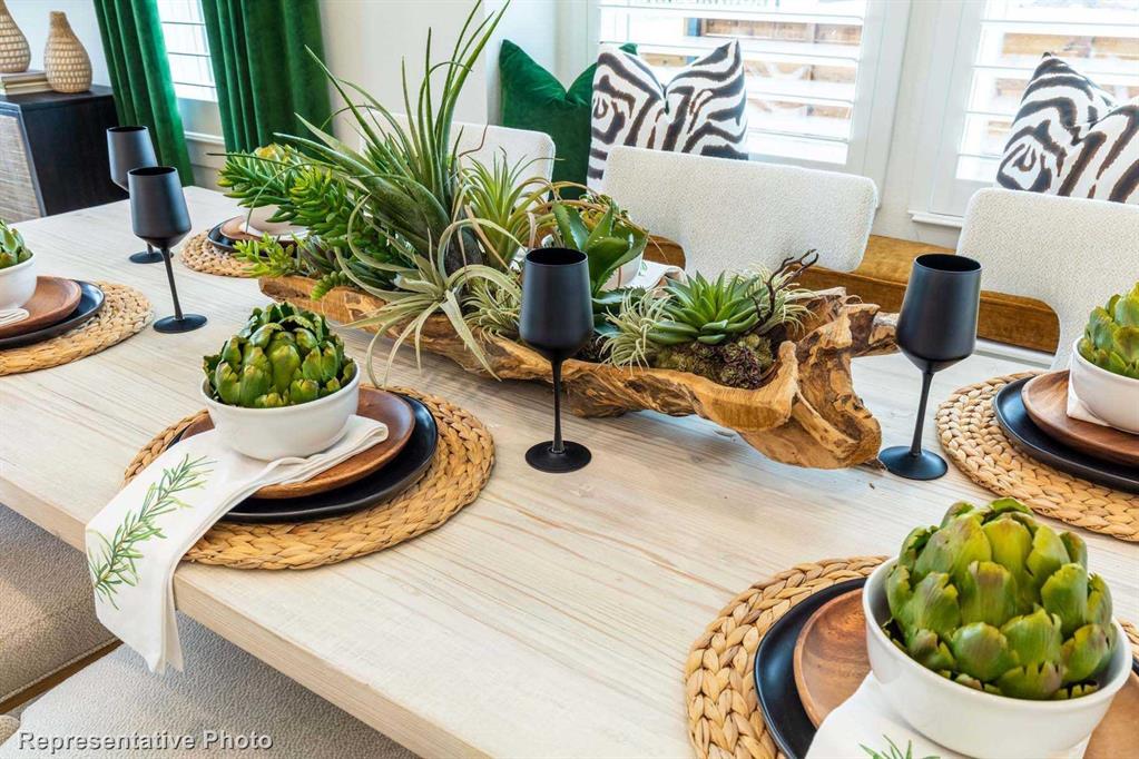 Trinity Falls: Townhomes - 22ft. lots - Residential