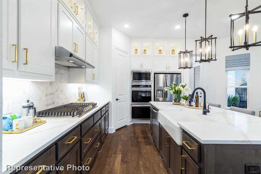 Trinity Falls: Townhomes - 22ft. lots - Residential