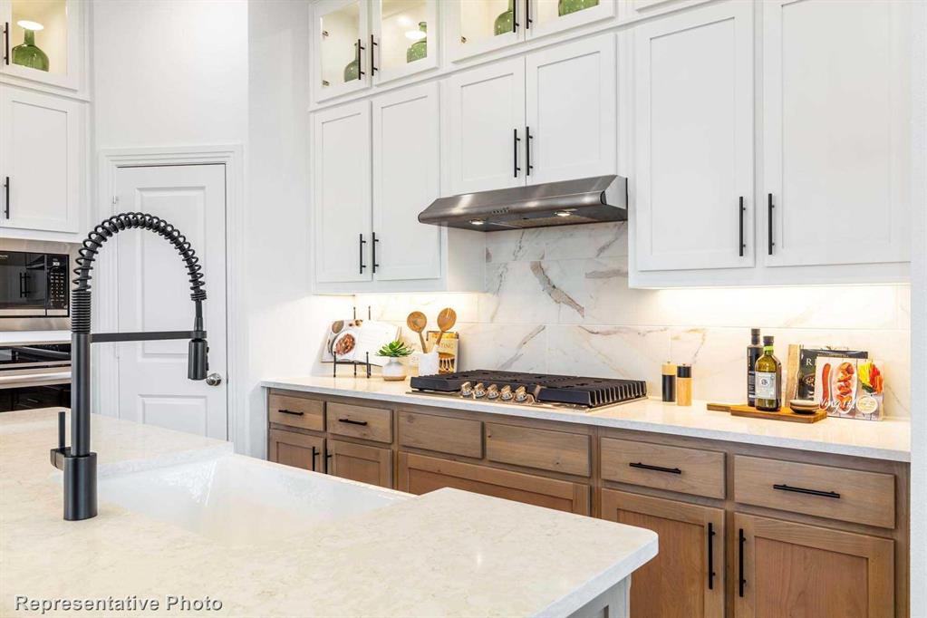 Trinity Falls: Townhomes - 22ft. lots - Residential