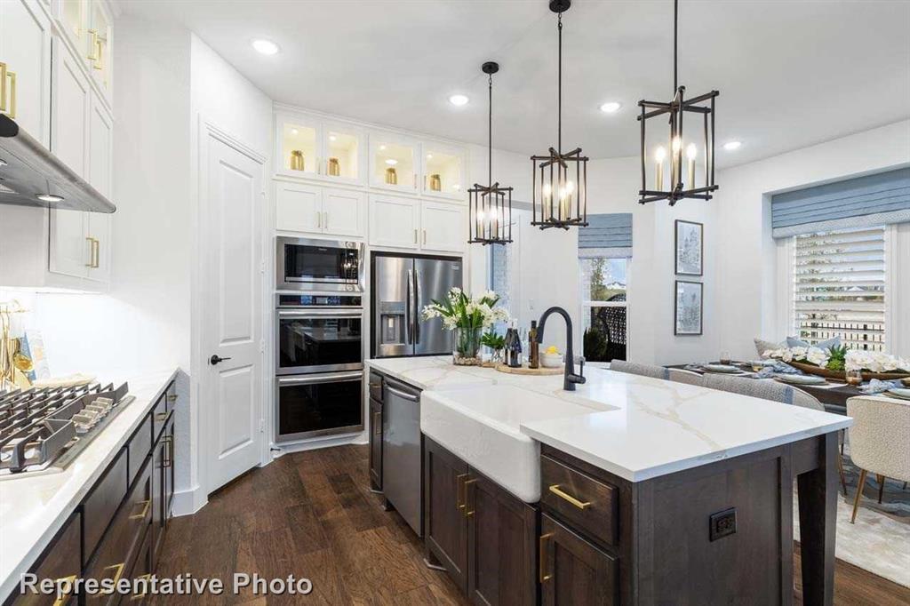 Trinity Falls: Townhomes - 22ft. lots - Residential