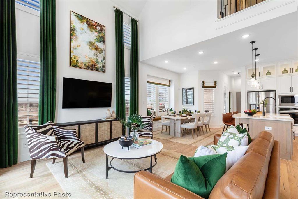 Trinity Falls: Townhomes - 22ft. lots - Residential