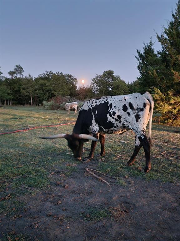 Brian Estates - Land