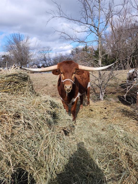 Brian Estates - Land