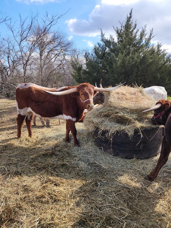 Brian Estates - Land